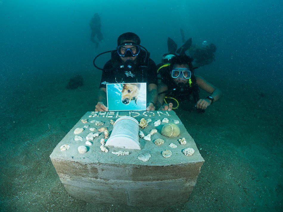 Danny Ocampo builds an underwater memorial for his late pet Sheldon the diving dog