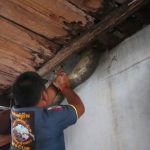 Rescue workers drag the monitor lizard out from the floorboards in Chachoengsao