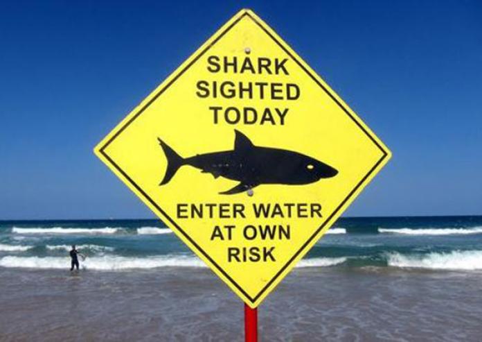 Australian tourist haven suffers twin shark attacks
