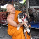 Abbot in Phayao seeks donations for animal furnace