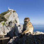 Brexit deal almost done, but Spain holds out over Gibraltar