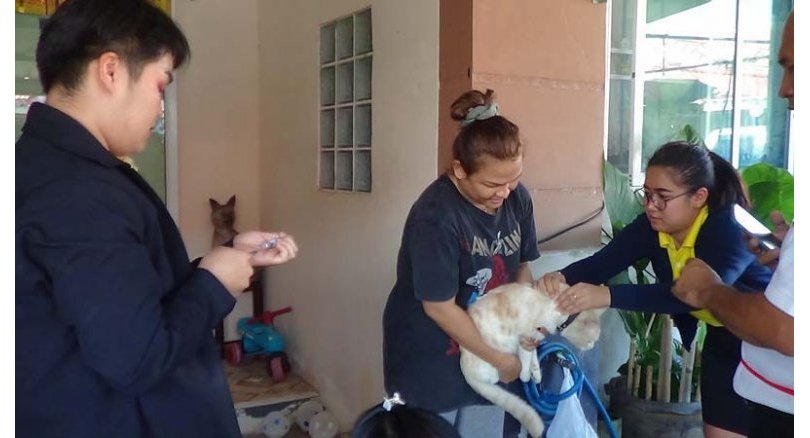Chon Buri dogs and cats get rabies shots