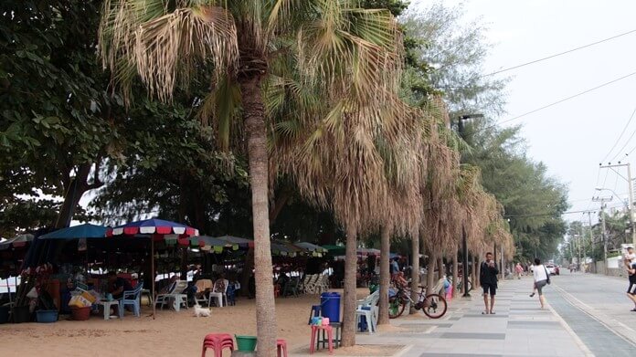 Angry Pattaya councilors order neglected Jomtien palm trees revived