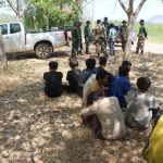 12 undocumented Cambodians arrested in rubber plantation