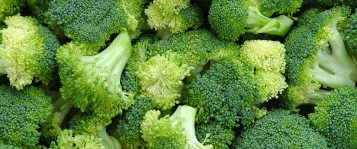 Scientists discover that broccoli contains a molecule that may be the “Achilles heel” of cancer