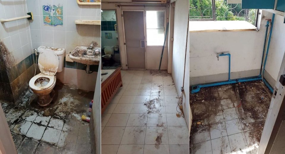 Shocked landlady posts photos of apartment as left by tenant