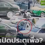 Passenger opens car door on motorcyclist