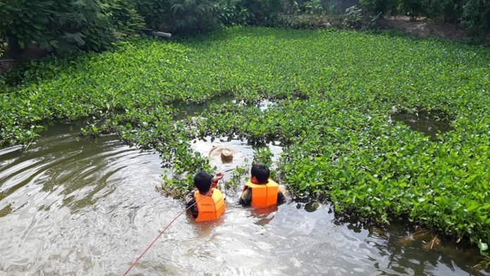 Body of missing man found drowned in Lampang pond