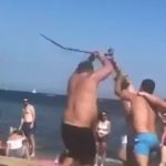 British tourists brawl on Barcelona beach