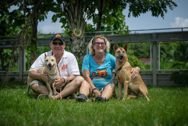 Cadgwith couple help dogs being sold for meat in Thailand