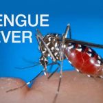 Dengue Fever in Thailand Reaches 49,174 Cases With 64 Deaths