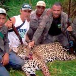 Dentist arrested after 'illegally killing 1,000 jaguars on sick hunting trips'