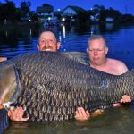 British angler nets WORLD RECORD carp in Thailand