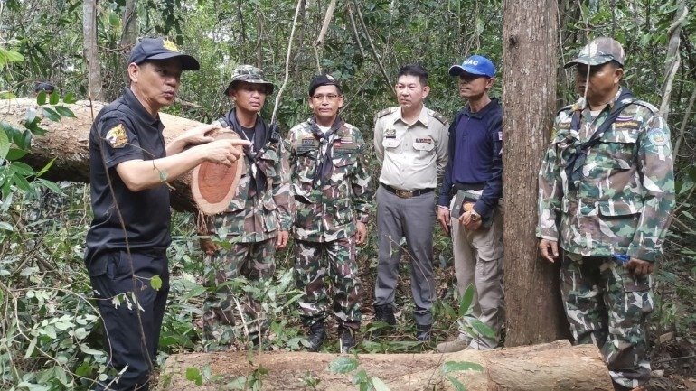Illegal loggers using LANDMINES against rangers in Thailand