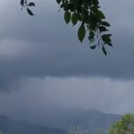 Meteorological Dept warns of heavy rain until August 6