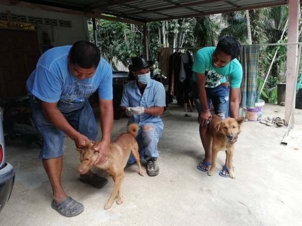 Ten Krabi villagers under watch for possible rabies infection