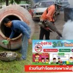 Dengue Fever infects 81000 people in Thailand this year