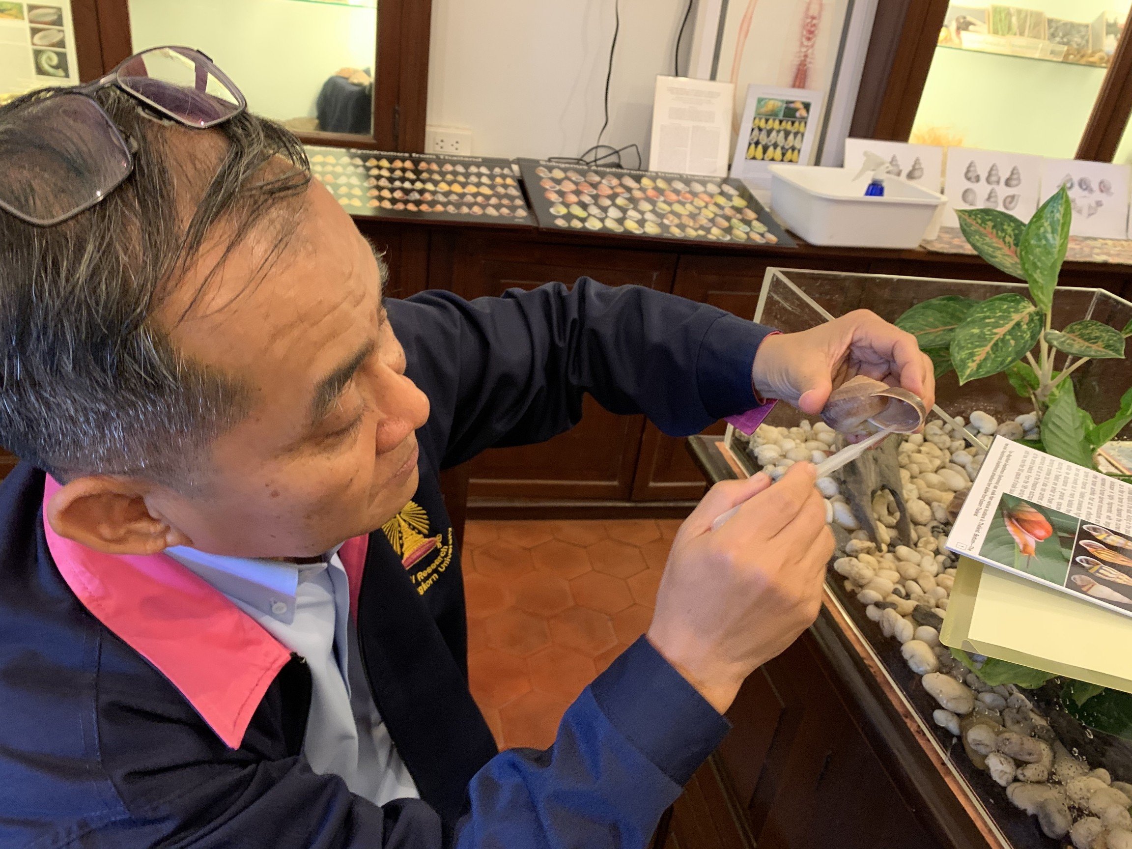 “People have discovered that if you raise a lot of snails — and you do it right — you can make much more than farming rice or working at 7-Eleven,” Somsak said. “But you’ll need to take it seriously to turn a profit.”  And, he adds, you need to collect the mucus with care. When stimulating the snail’s flesh, add a bit of water, he said. Not only does it provoke more secretion, but the moisture also comforts the snail, which has more nerve endings than most people think.  But if snails are such sensitive creatures, does the prodding annoy them? Somsak said he’s heard people online likening snail mucus collection to torture.  “But it’s not torture at all. You can do it gently. And they’re going to ooze out that slime anyway, simply by moving from place to place,” he said. “It’s surely not as bad as roasting them alive. That’s way more harsh.”  Indeed, the Hemiplecta distincta isn’t some rare species he plucked from a remote corner of Thailand. It’s literally a garden variety snail — and upcountry Thais have been eating them for ages, often after grilling them in their shells, plucking out the flesh and dipping them in a tangy, chili-flecked sauce.  They’re apparently quite tasty. But Somsak wouldn’t know.  “No way. Never tried it,” he said. “I just don’t have the heart to eat a snail.”