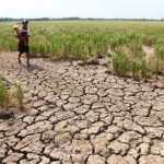 DROUGHT DISASTER ZONES