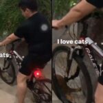 Young man caught harassing stray cat with bicycle apologises over 'misguided fun'