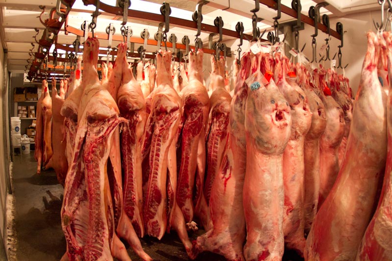 Million's of kilos of frozen pork