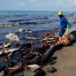 Rayong Province major oil spill clean-up continues