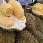 Outranking rice and rubber ,Durian is Thailand’s top export earner