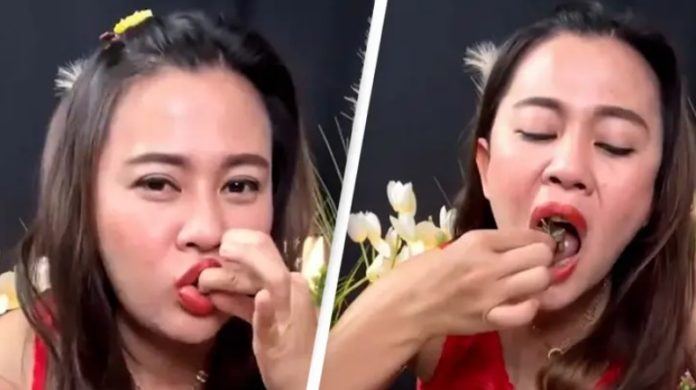 Thai YouTuber arrested after eating bat soup on video