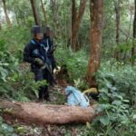 15 drug smugglers killed near Thai-Myanmar border in Chiang Mai