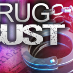 Large drug network in Northeast busted