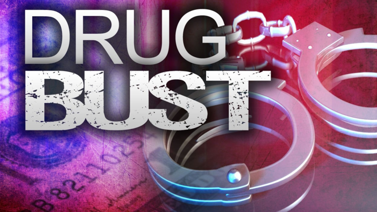 Large drug network in Northeast busted