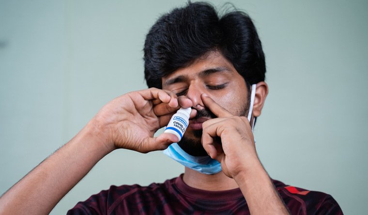 nasal vaccine India