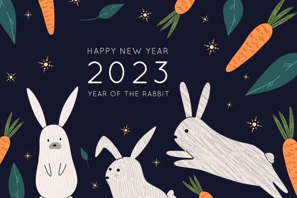 2023 new years eve and rabbit year
