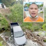 Driver survives pickup plunge
