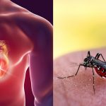 Dengue fever becoming big problem