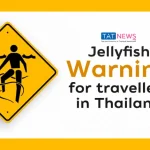 Jellyfish warning for travellers in Thailand