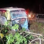 Driver Killed, Chinese Tourists Injured