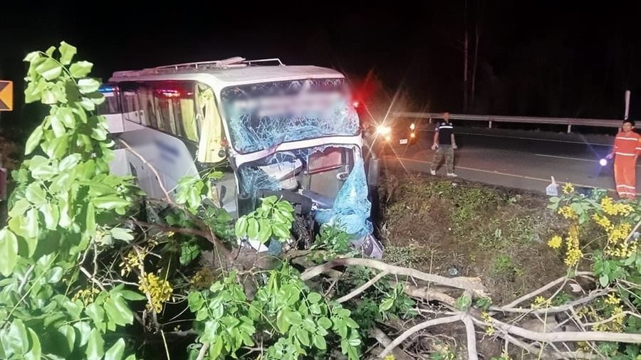Driver Killed, Chinese Tourists Injured