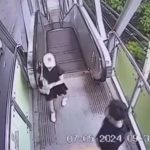Masturbating train station thief