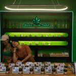Supporters of Cannabis Prepare Legal Challenge Over Policy Reversal