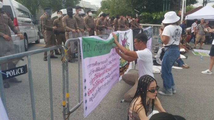 Thai Cannabis Activists Rally Against Recriminalization