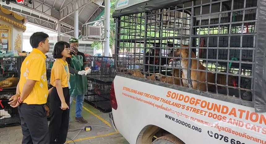 Soi Dog Foundation launches sterilization campaign