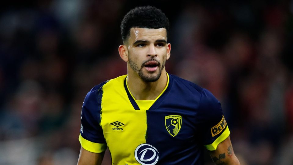 Tottenham Reach £65m Agreement with Bournemouth for Solanke