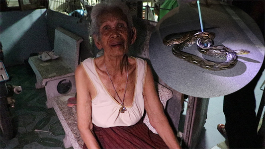 Pensioner finds a python in the toilet