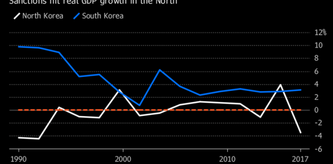 Sanctions-hit N. Korea economy shrank sharply in 2017: Seoul