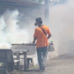 71 KILLED AS DENGUE DEATHS SPIKE