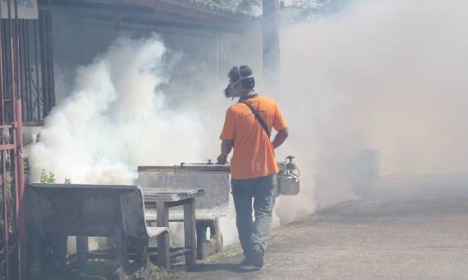 71 KILLED AS DENGUE DEATHS SPIKE