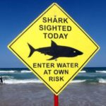 Australian tourist haven suffers twin shark attacks