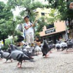 Bird-feeding tourists put fun over safety