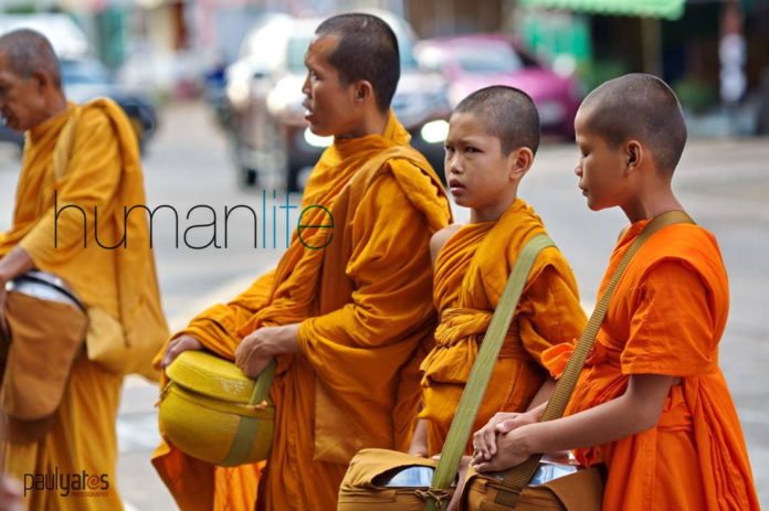 why do buddhist monks shave their heads and wear orange